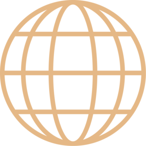globe icon