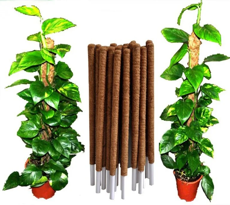 garden coco poles for plants support indoor