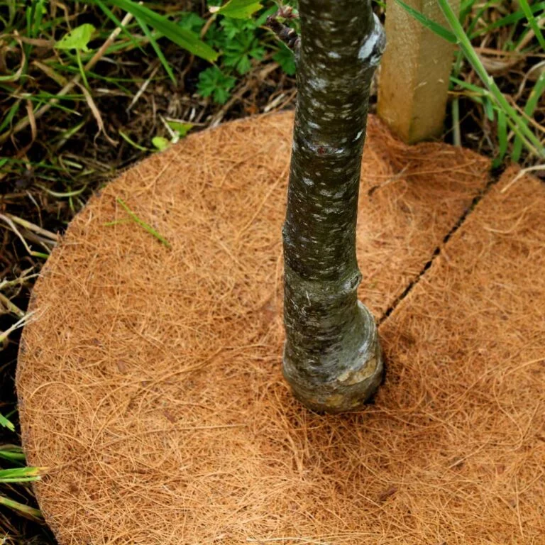 haxnicks tree mat around tree 1024x