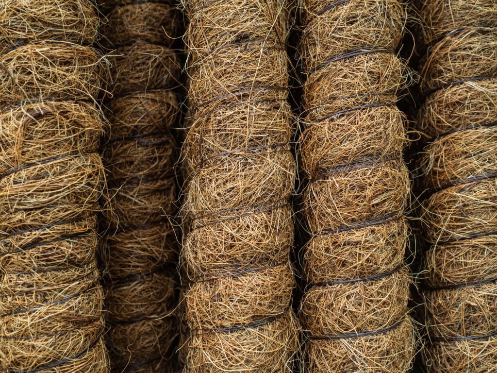 sticks support plants coconut support support trunks young trees min