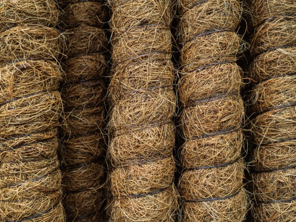 sticks support plants coconut support support trunks young trees min